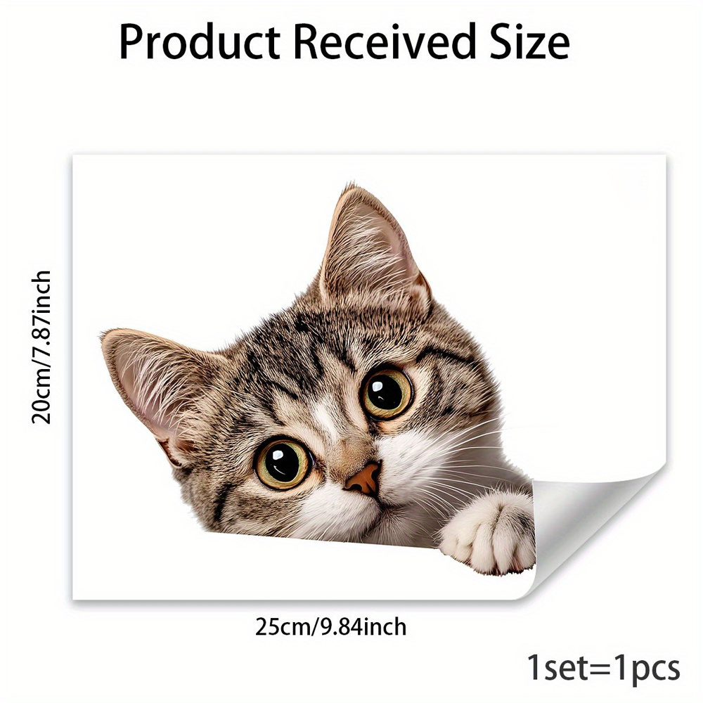Pegatina Divertida de Gato Esc - Home Bathroom Window reseña y precio